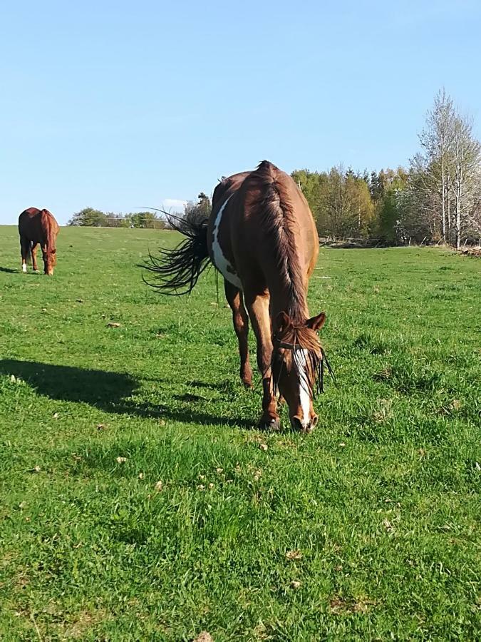 Farma Ranch Jelemek Appartement Nebahovy Buitenkant foto