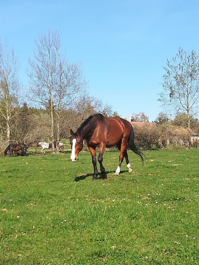 Farma Ranch Jelemek Appartement Nebahovy Buitenkant foto