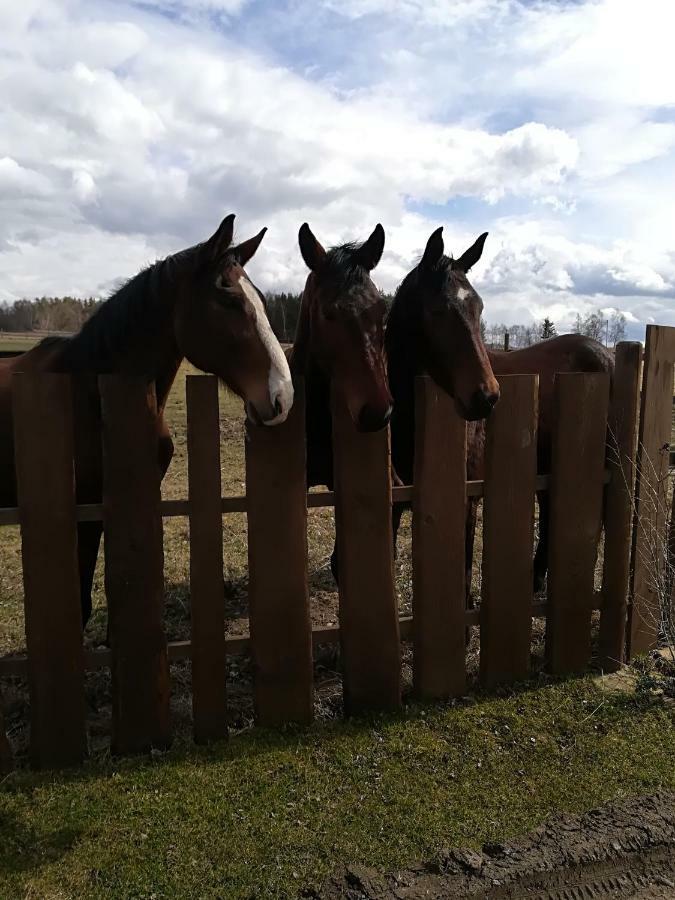 Farma Ranch Jelemek Appartement Nebahovy Buitenkant foto